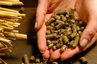 Smallwood pellet boiler